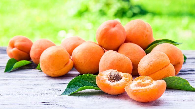 Buah Aprikot Kering