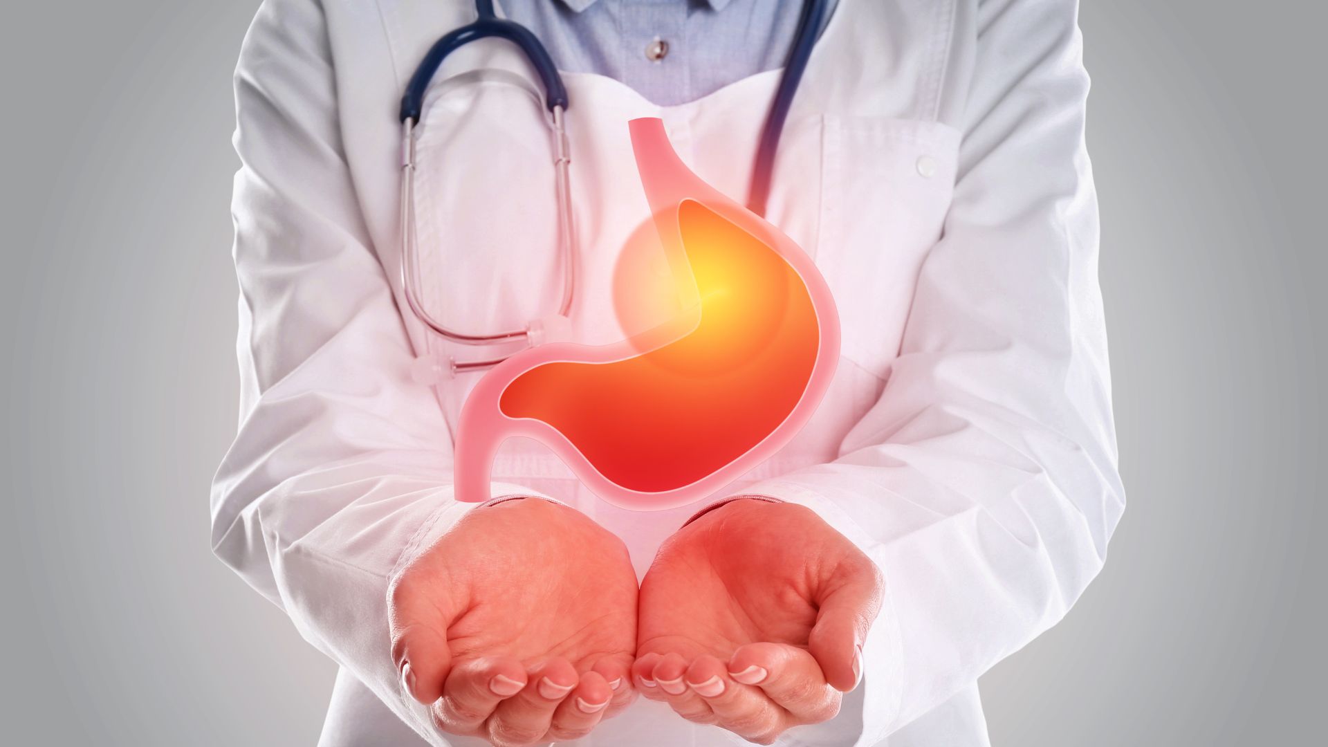 Pentingnya Lambung dalam Sistem Pencernaan