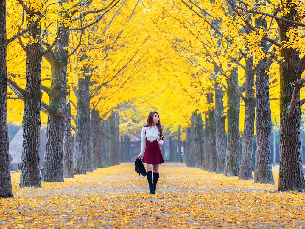 Sejarah Singkat Pulau Nami