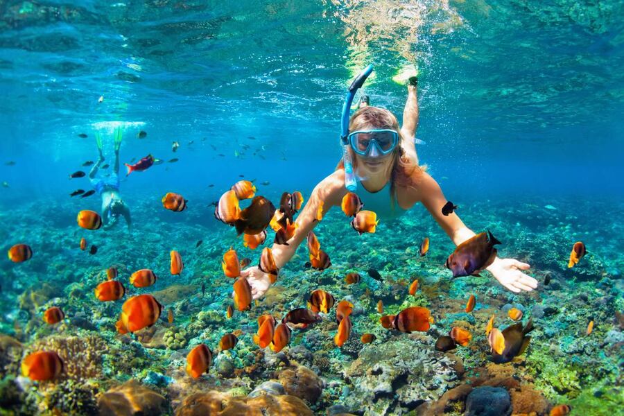 Spot Snorkeling Bunaken yang Paling Populer