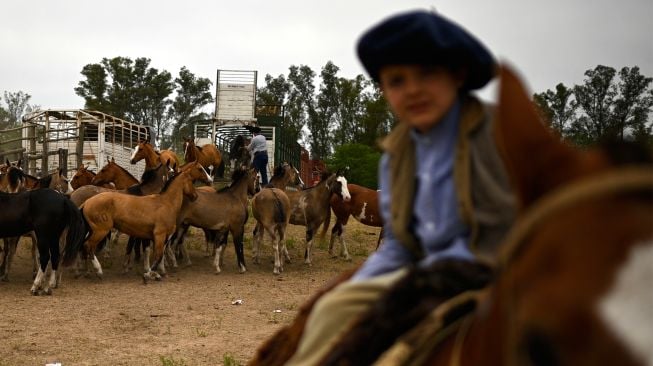 Akar Sejarah budaya Gaucho Sang Penunggang Angin