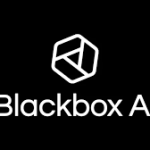 Blackbox AI